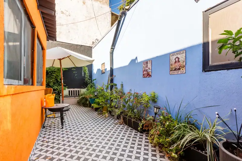 בעל העקידה גינה אחורית בעל העקידה גינה אחורית