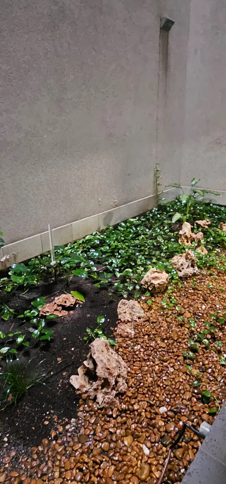 איגר למכירה כניסת בניין כניסה בניין חזית