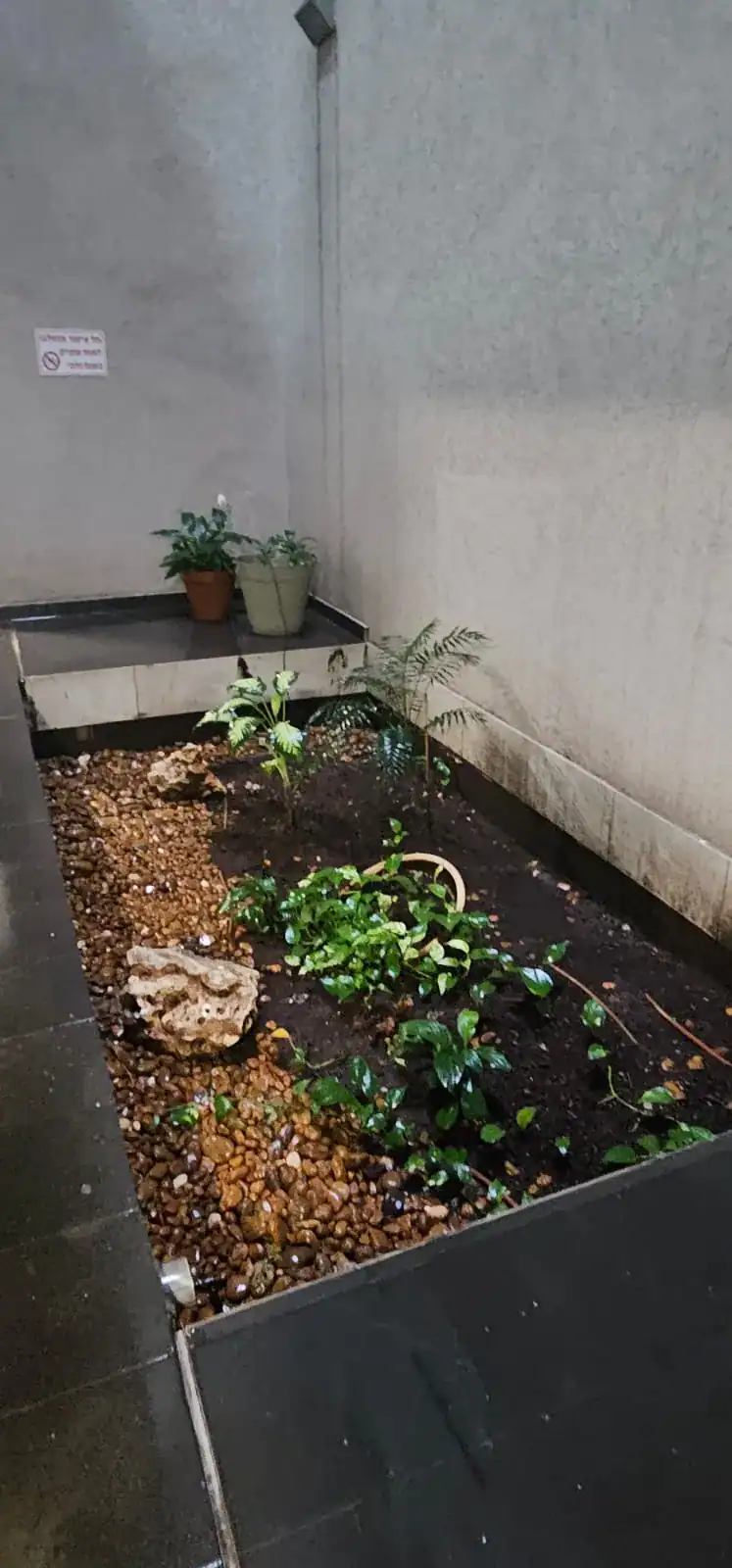 איגר למכירה חזית בניין איגר