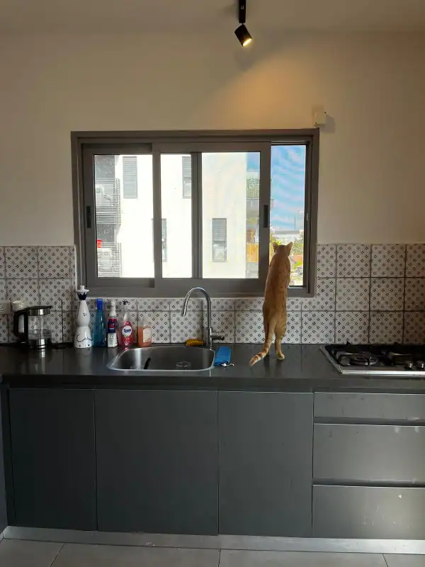 הגדוד העברי להשכרה חלון מואר מטבח נדלנסקיי השכרת דירות בדרום תל אביב אור טבעי