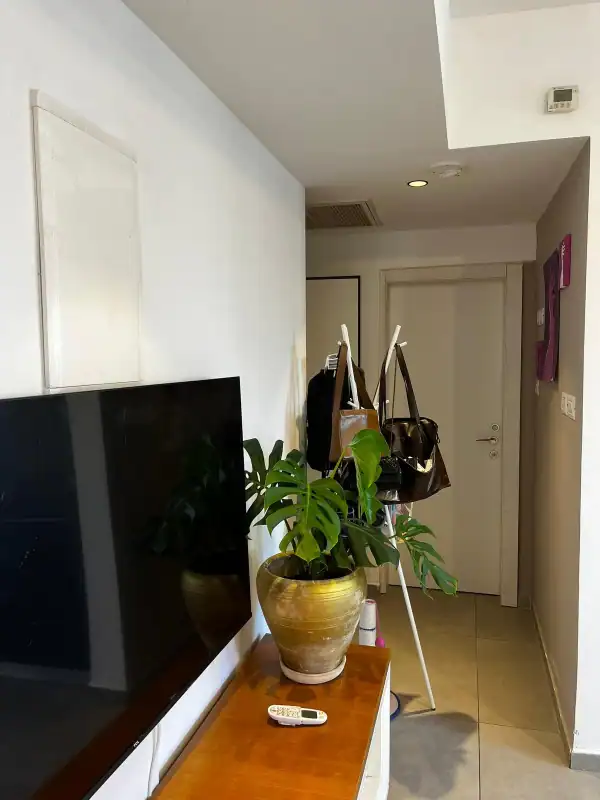 הגדוד העברי להשכרה מחיר נוח נדלנסקיי השכרת דירות בדרום תל אביב פינה