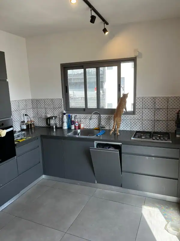 הגדוד העברי להשכרה מטבח מאובזר נדלנסקיי השכרת דירות בדרום תל אביב תאורה מטבח