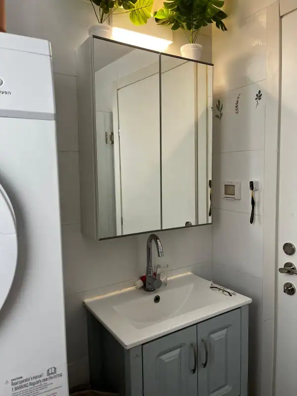 הגדוד העברי להשכרה מקלחת נדלנסקיי השכרת דירות בדרום תל אביב מקלחת גדולה