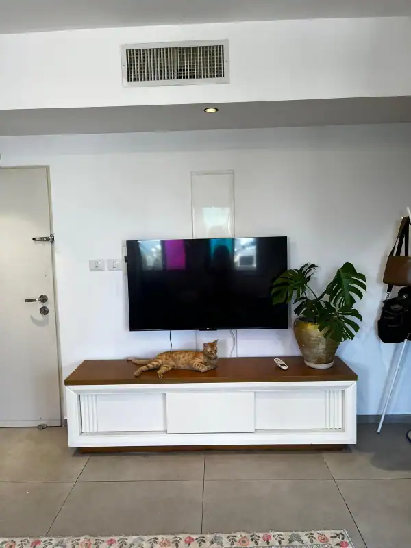 הגדוד העברי להשכרה סלון נדלנסקיי השכרת דירות בדרום תל אביב פינת ישיבה