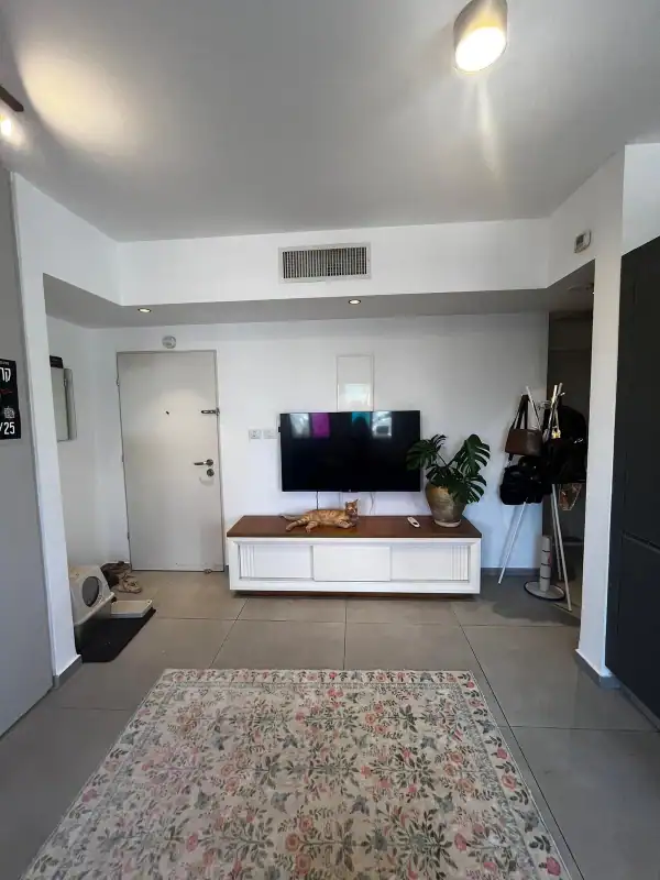 הגדוד העברי להשכרה פינת סלון נדלנסקיי השכרת דירות בדרום תל אביב סלון מרווח