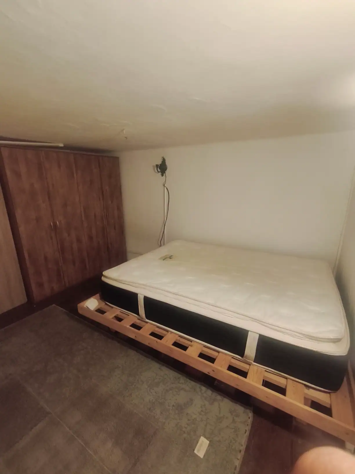 הקישון מיטה